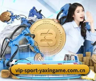 亚新体育 APP 界面